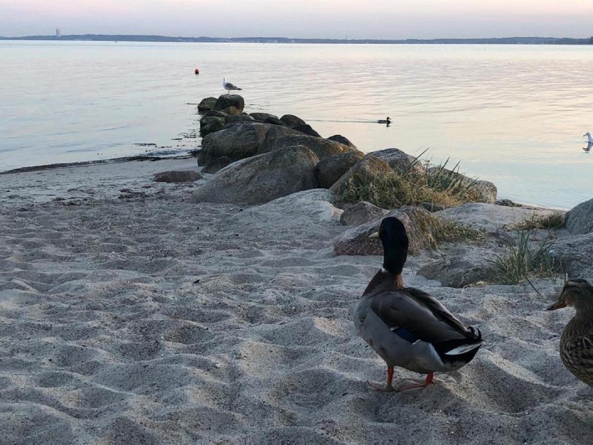 Ostseecamp Luebecker Bucht Casa Del Mar Mit Kostenfreier Saunanutzung Scharbeutz Kültér fotó